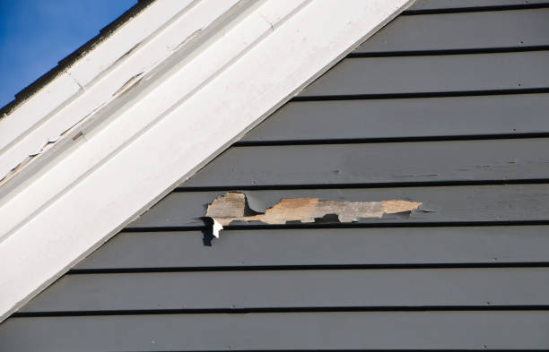 Best Same-Day Junk Removal Services  in Gunbarrel, CO